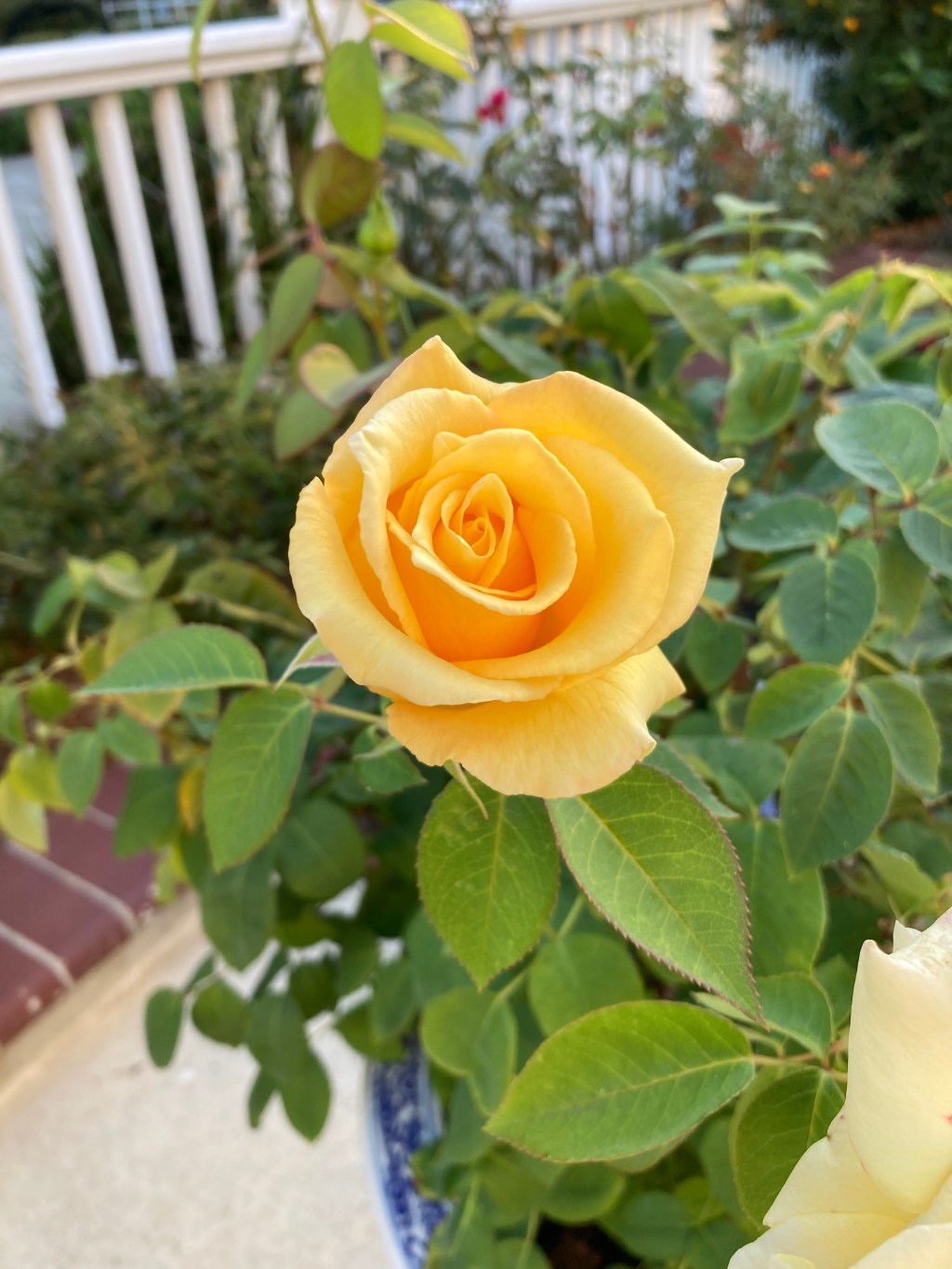 ICL 23.23 Rant on&nbsp;DACs